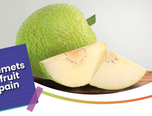 Fiche recette : Entremets de fruit à pain
